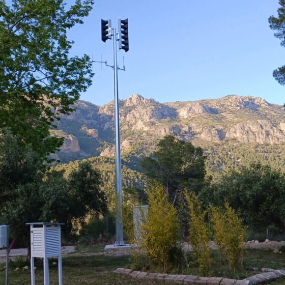 WhatsApp Image 2026-04-29 at 11.26.57